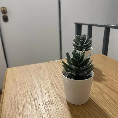 Bed & Breakfast Belvedere 75