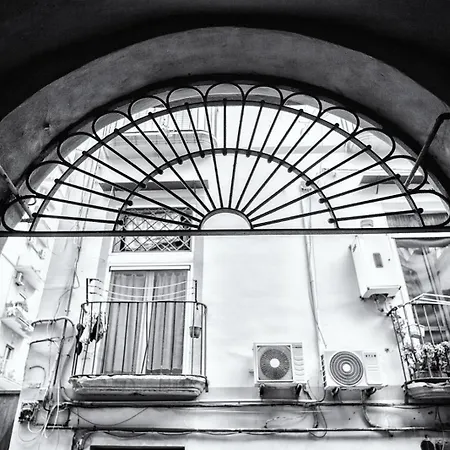 Belvedere 75 4*