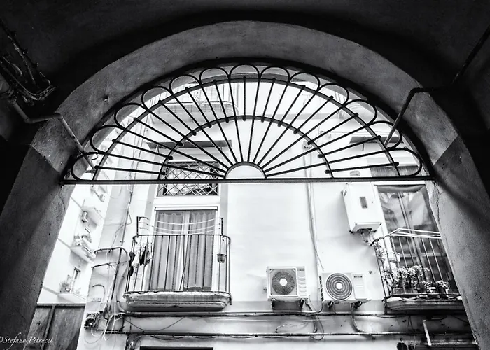 Belvedere 75 4*